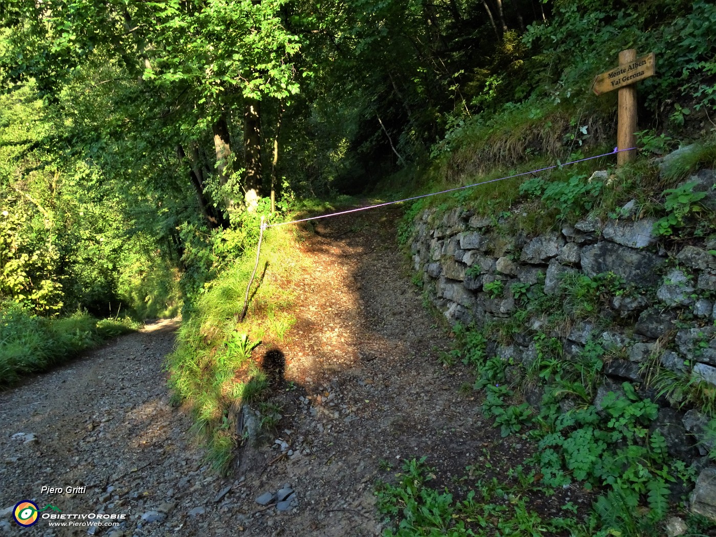 14 Dopo brevissima discesa su stradetta cementata prendo il sent. 'Val Gerona-Monte Alben' ben segnalato a dx .JPG